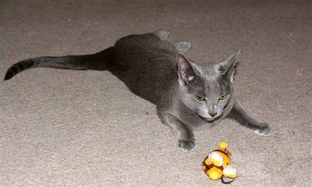 Phoebe am 09.12.2006